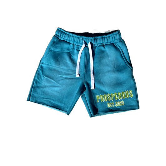 Turquoise Sun Faded PA Shorts