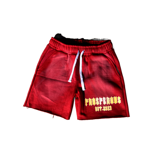 Red Sun Faded PA Shorts